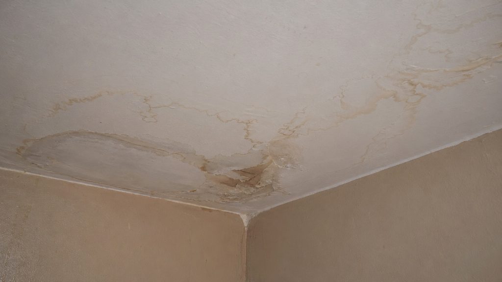 emergency plumber near me